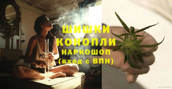 PSILOCYBIN Нефтегорск