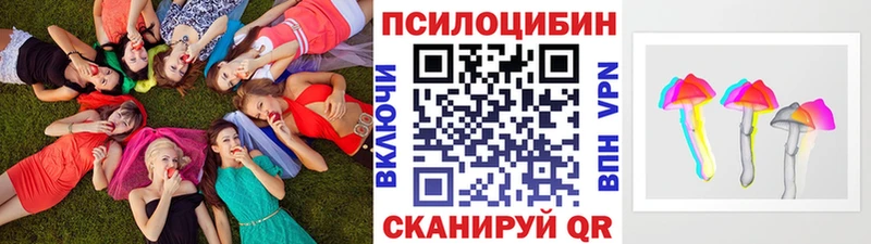 Псилоцибиновые грибы прущие грибы  Котлас 