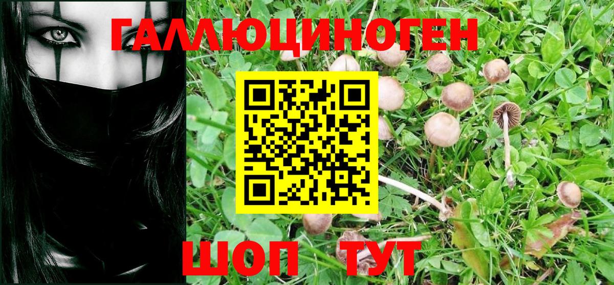 Псилоцибиновые грибы мицелий  Галлюциногенные грибы MAGIC MUSHROOMS  Котлас  Вход с VPN 