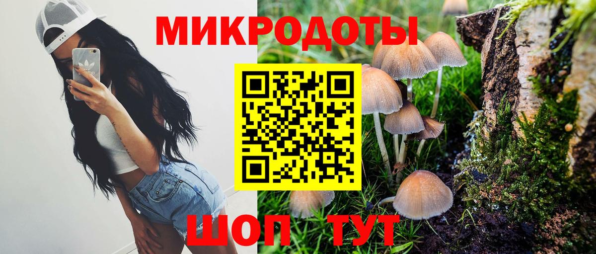 Псилоцибиновые грибы Magic Shrooms Котлас