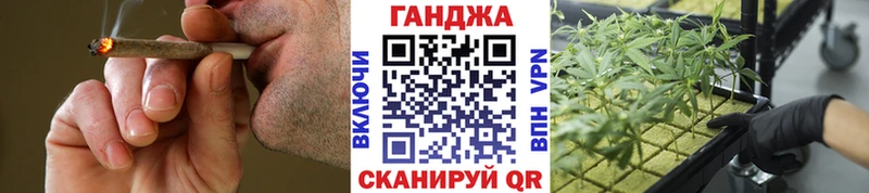 мориарти телеграм  Котлас  Шишки марихуана White Widow 